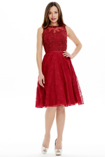 A-Line Scoop Neck Mini/Short Lace Homecoming Dress With Beading